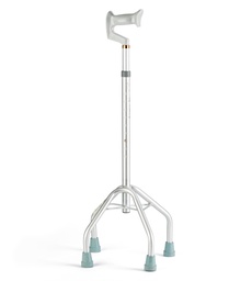 [060.101] Canne quadripode